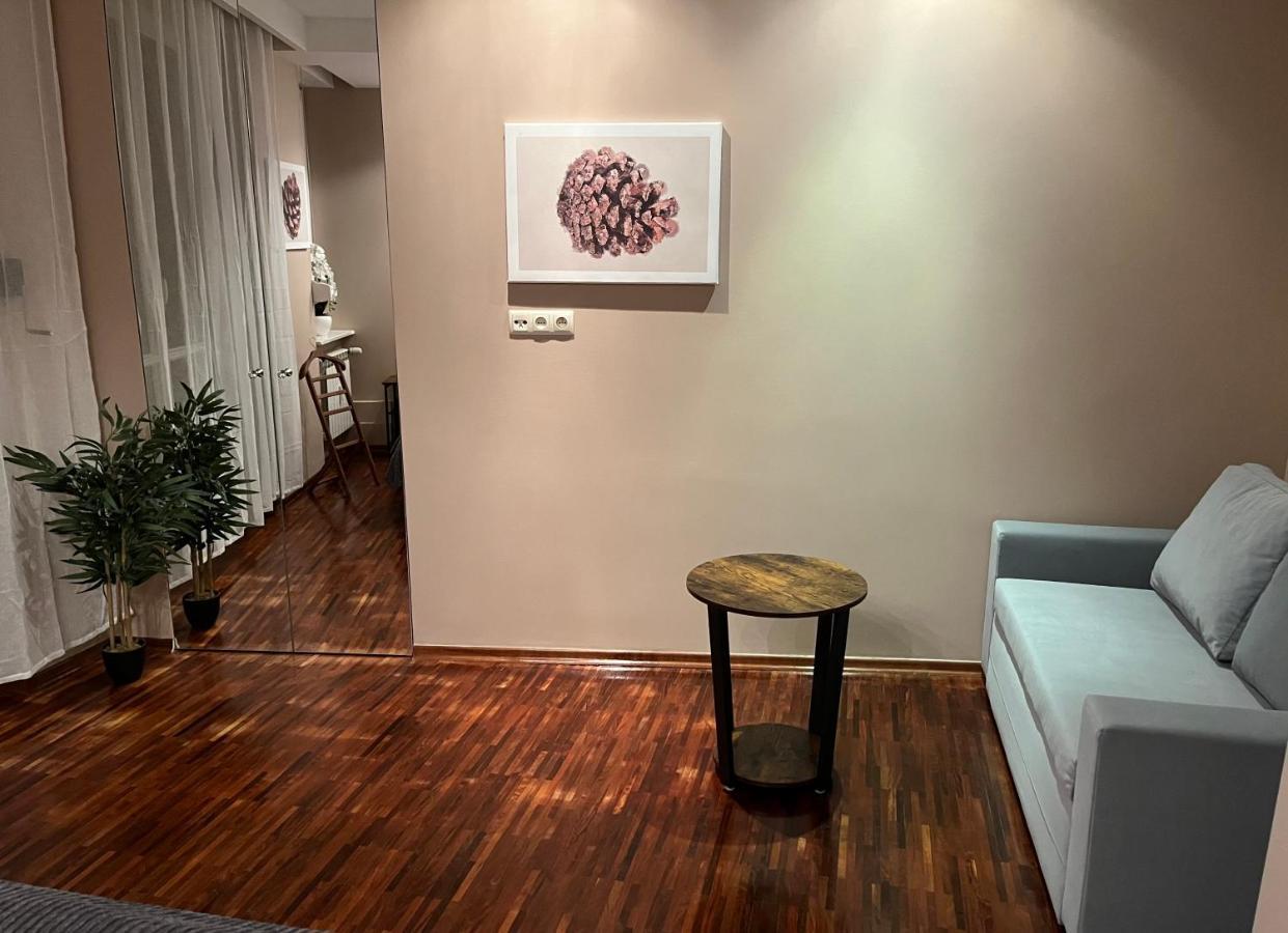 City Center Apartment カトヴィツェ エクステリア 写真